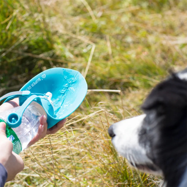 Portable Dog Water Bottle Soft Silicone